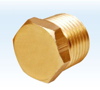 Brass Stop Pipe Plug